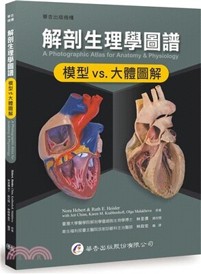 解剖生理學圖譜 : 模型vs.大體圖解